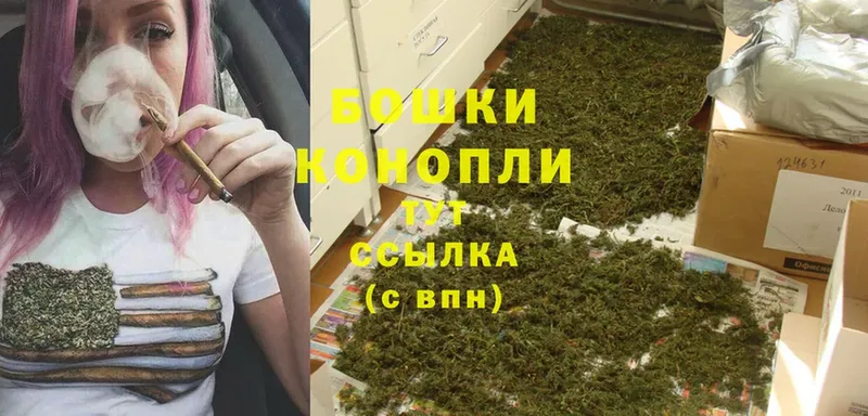 магазин продажи наркотиков  Скопин  Бошки Шишки конопля 